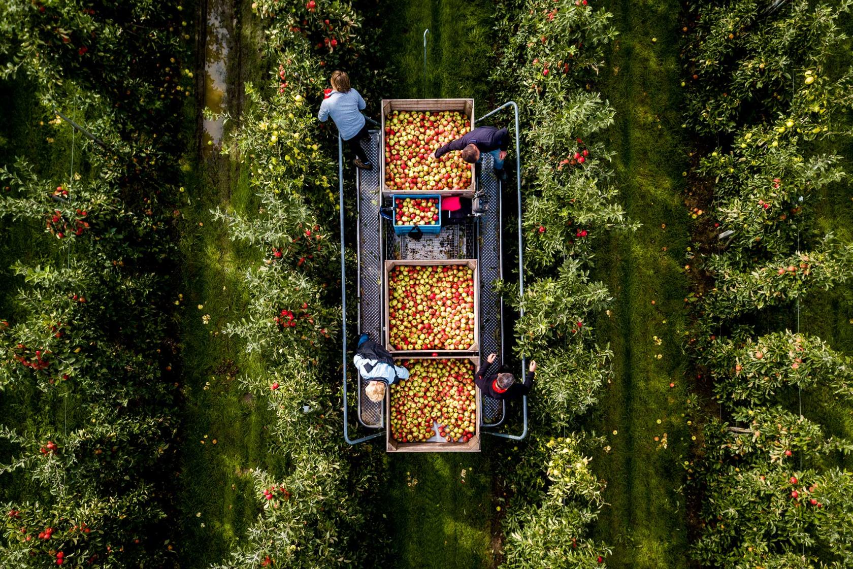 dronefotografie
