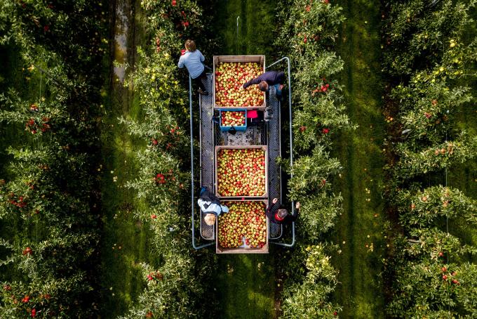 Een fruitteler vanuit de lucht. Foto: Sem van der Wal